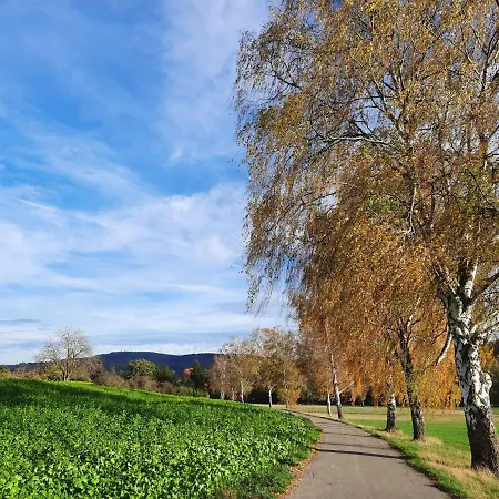 Odenwaldflair * Reichelsheim