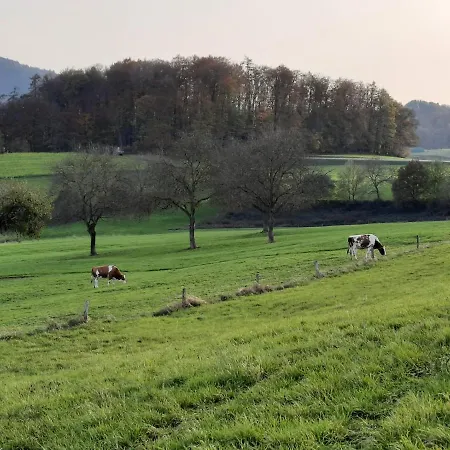 Odenwaldflair Reichelsheim
